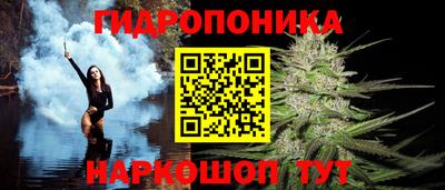 сатива Тверь