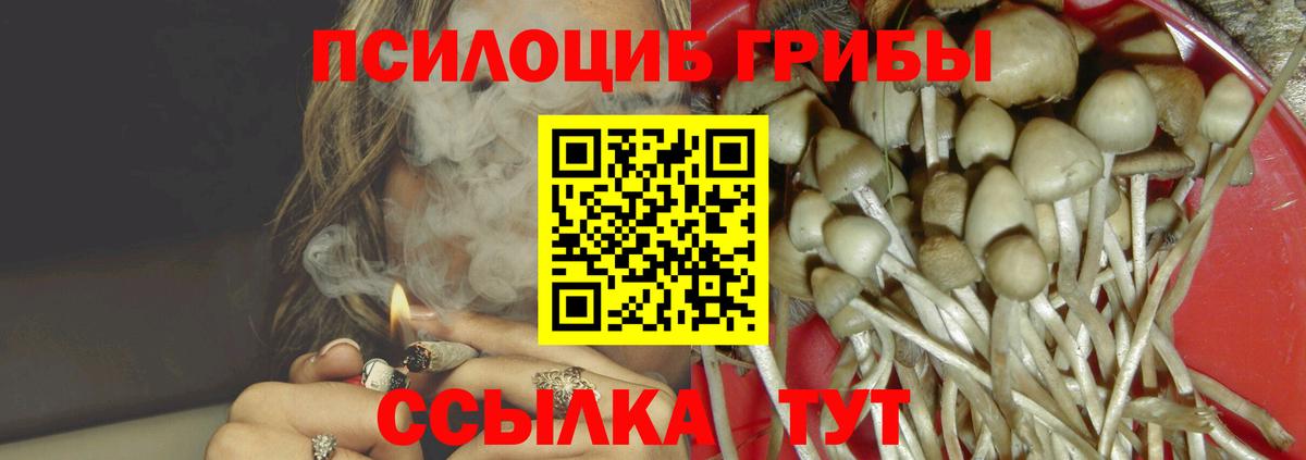 Боровичи  Псилоцибиновые грибы Magic Shrooms  Вход с VPN 